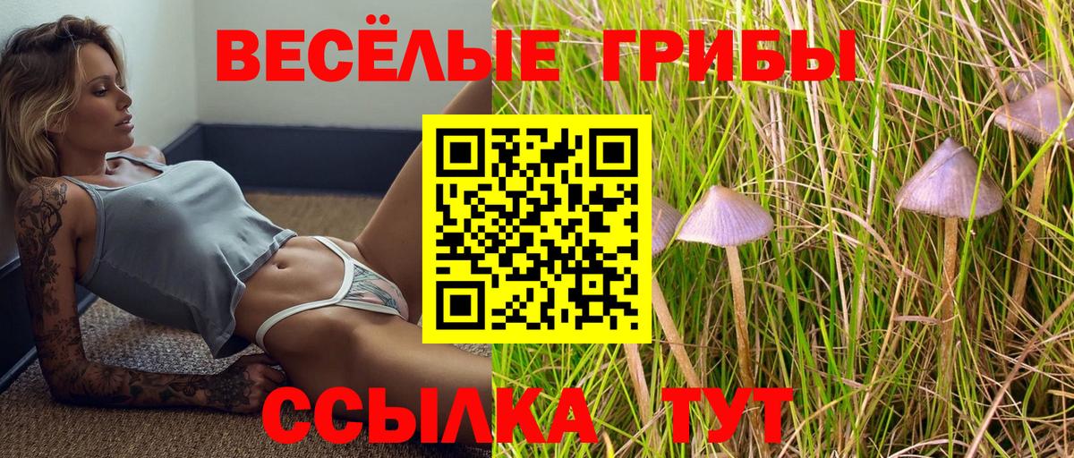 Галлюциногенные грибы MAGIC MUSHROOMS  Вход с VPN  Усинск 
