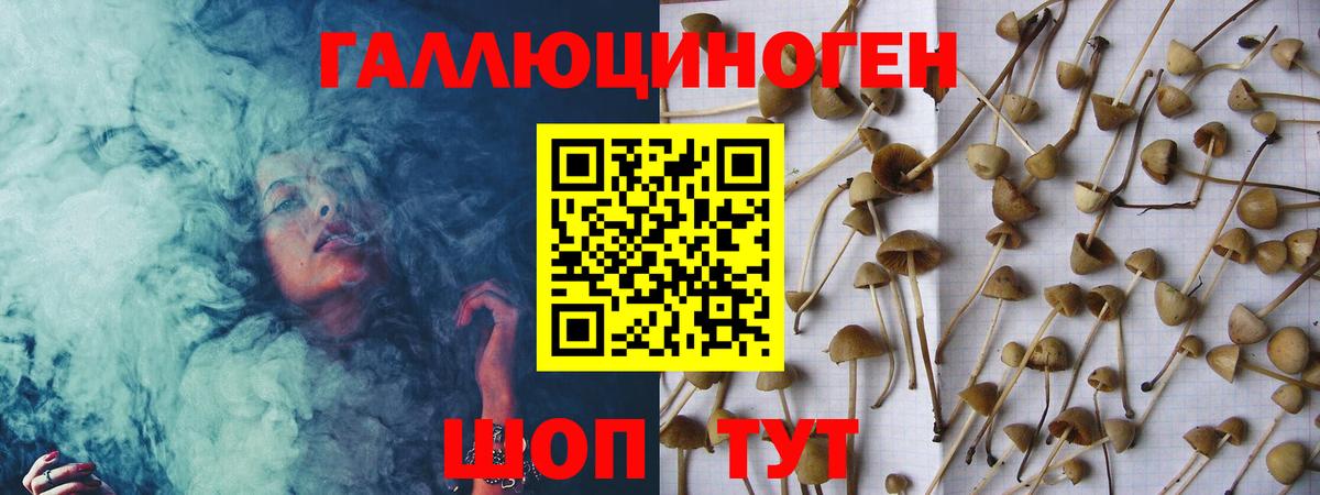 Псилоцибиновые грибы MAGIC MUSHROOMS Усинск